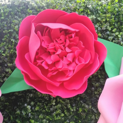 Цветок  из фоамирана "Пион красный"